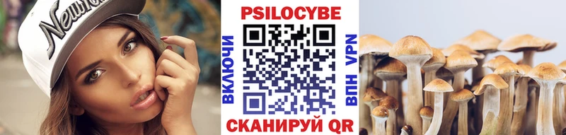 Псилоцибиновые грибы MAGIC MUSHROOMS  ссылка на мегу вход  Новошахтинск 